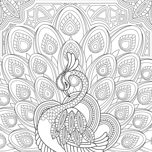 Peacock with feathers coloring page decal â