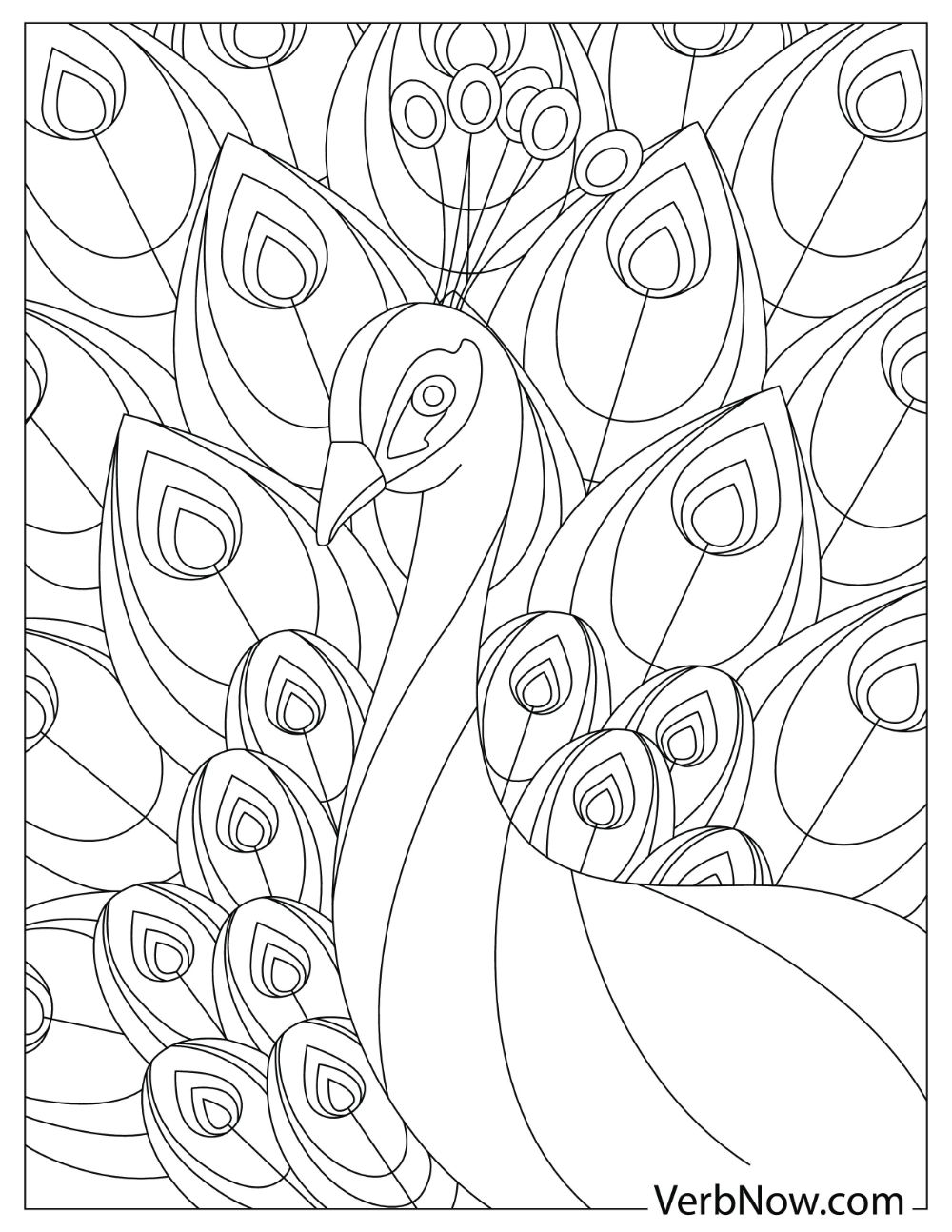 Free peacock coloring pages for download printable pdf