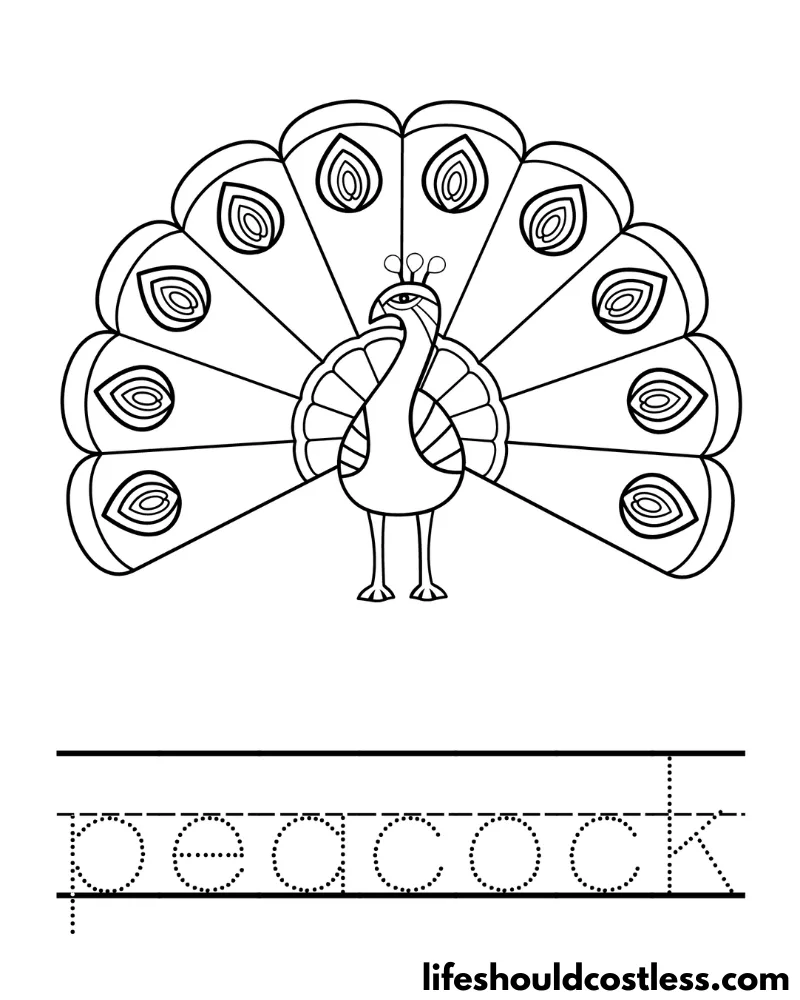 Peacock coloring pages free printable pdf templates