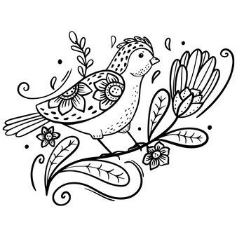 Page peacock animal coloring page images