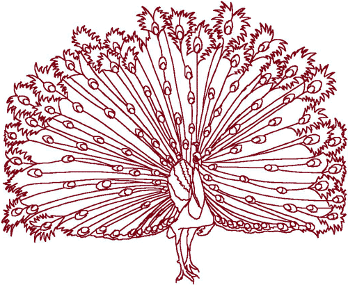 Redwork glorious peacock embroidery design