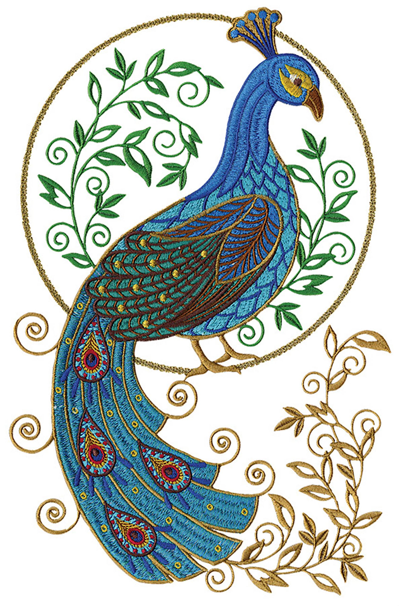 Peacocks â anita goodesign