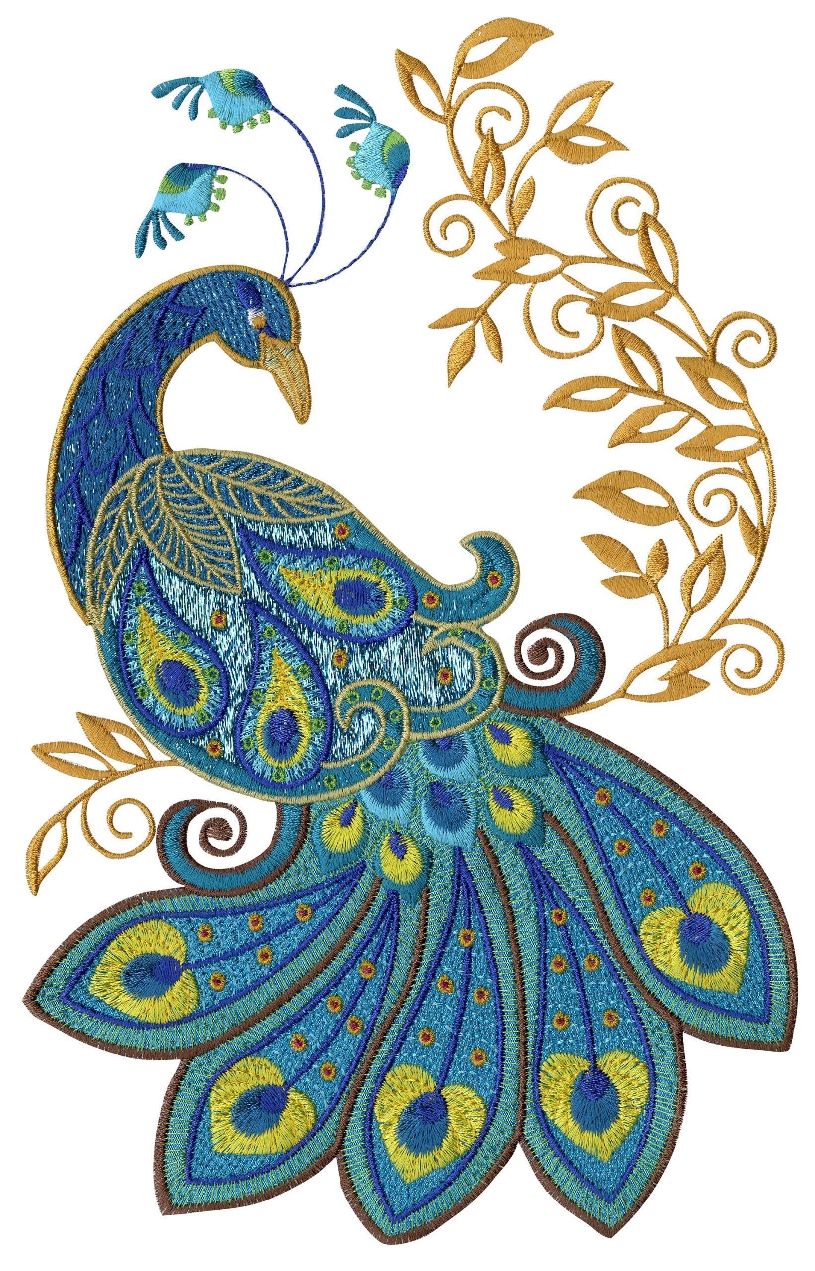 Peacocks â anita goodesign