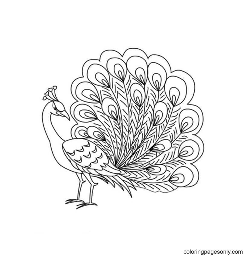 Peacock coloring pages printable for free download