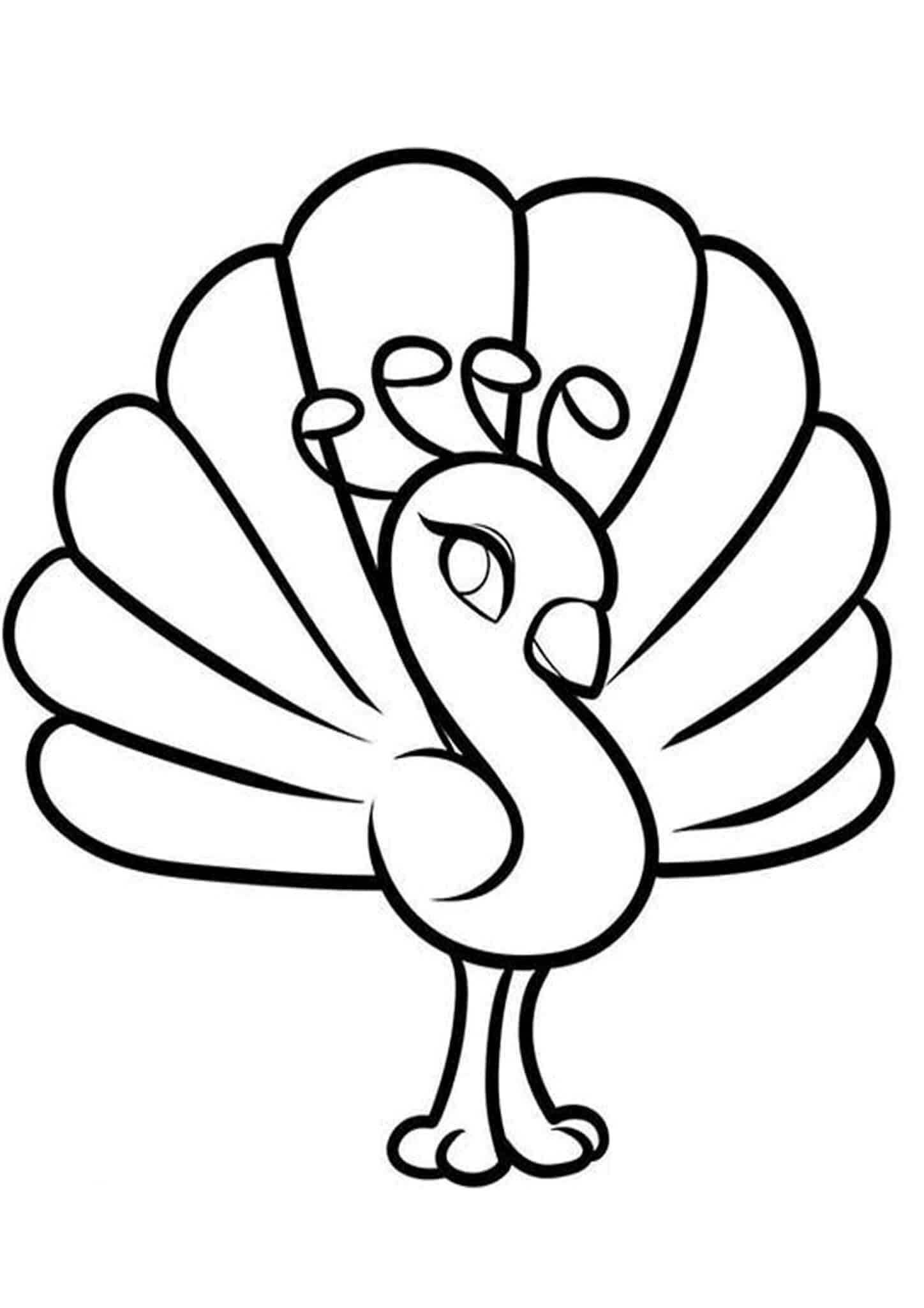 Free easy to print peacock coloring pages peacock coloring pages bird coloring pages coloring pages