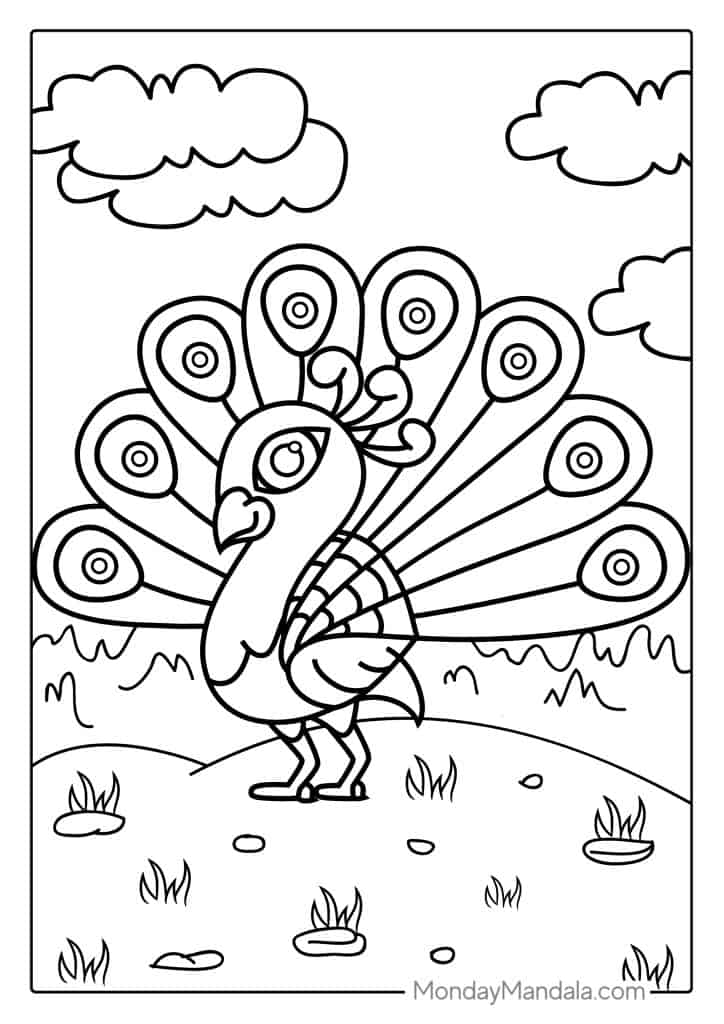 Peacock coloring pages free pdf printables