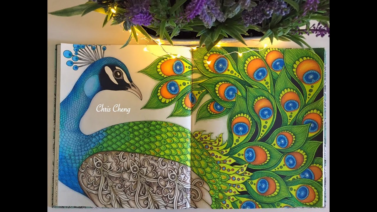 Dagdrãar coloring book the peacock coloring with colored pencils