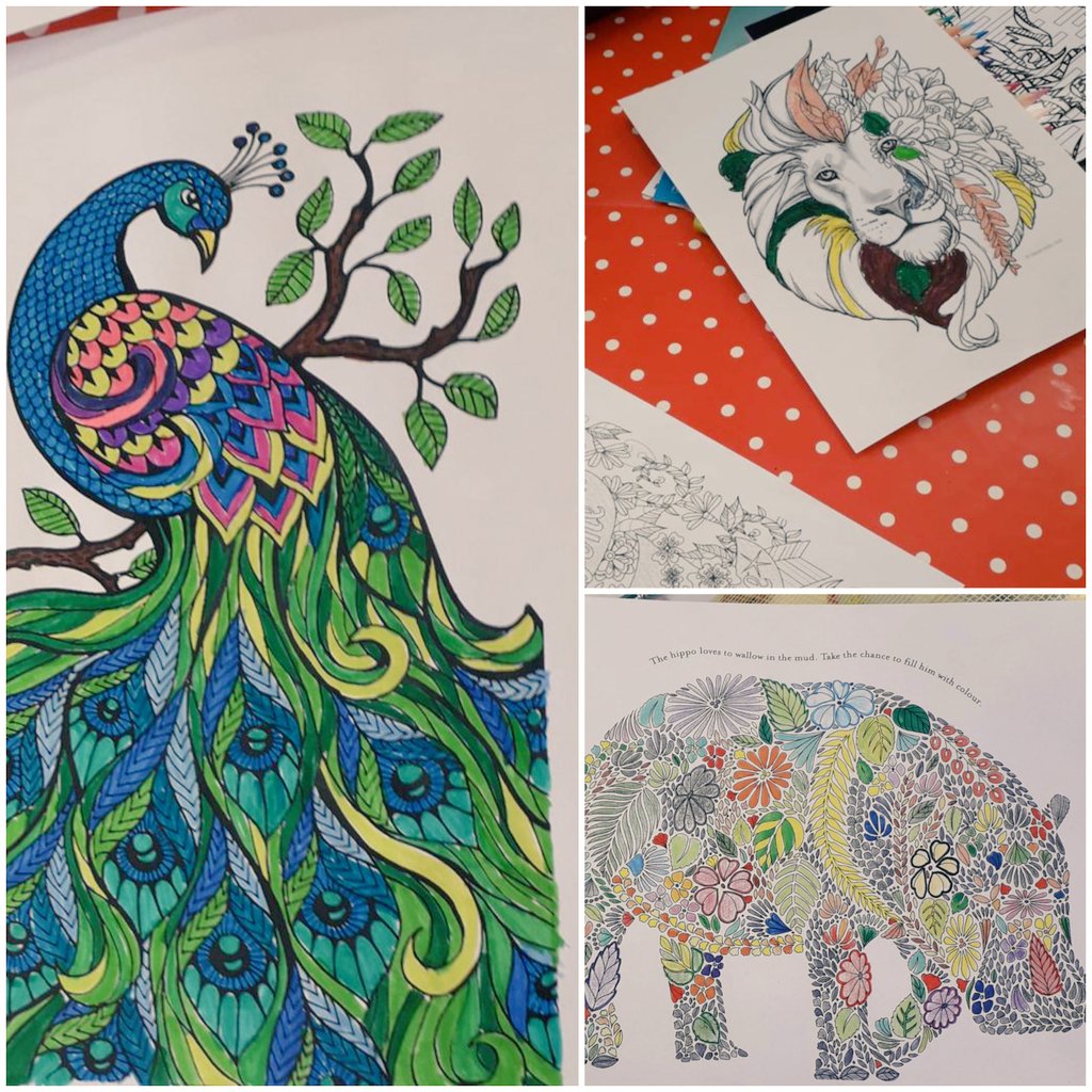 Sabp acu therapies on x people participated in mindful colouring bringing awareness into the present moment by consciously focusing on coloring sabpnhs httpstcoiyctvnezj x