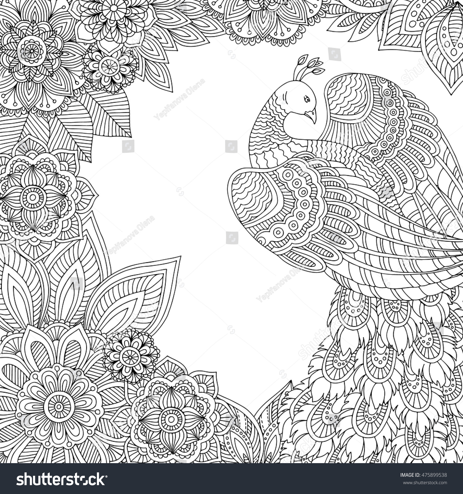 Printable coloring page adults peacock leaves stock vector royalty free