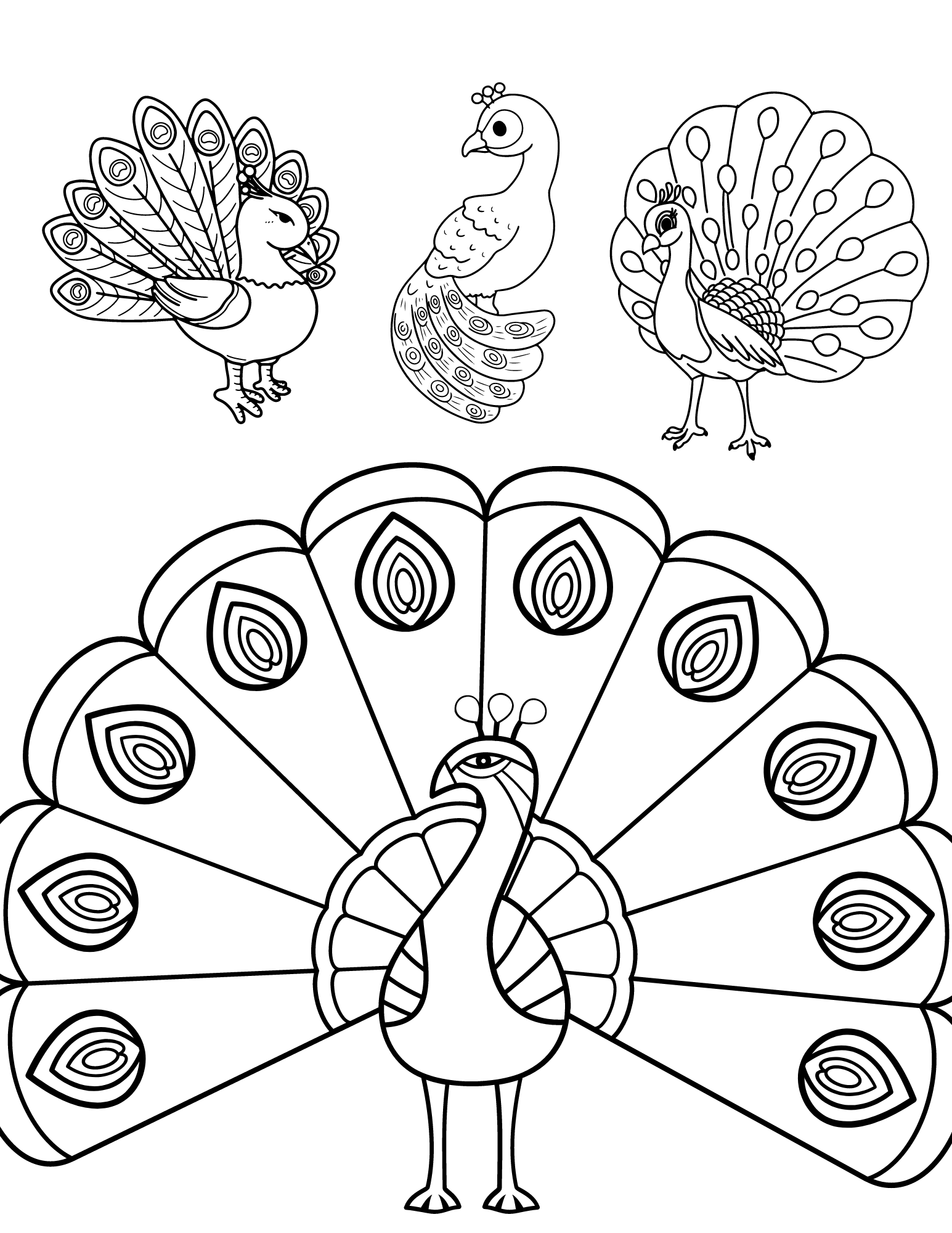 Perfect peacock coloring pages for kids and adults