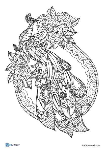 Free peacock coloring pages rcoloring