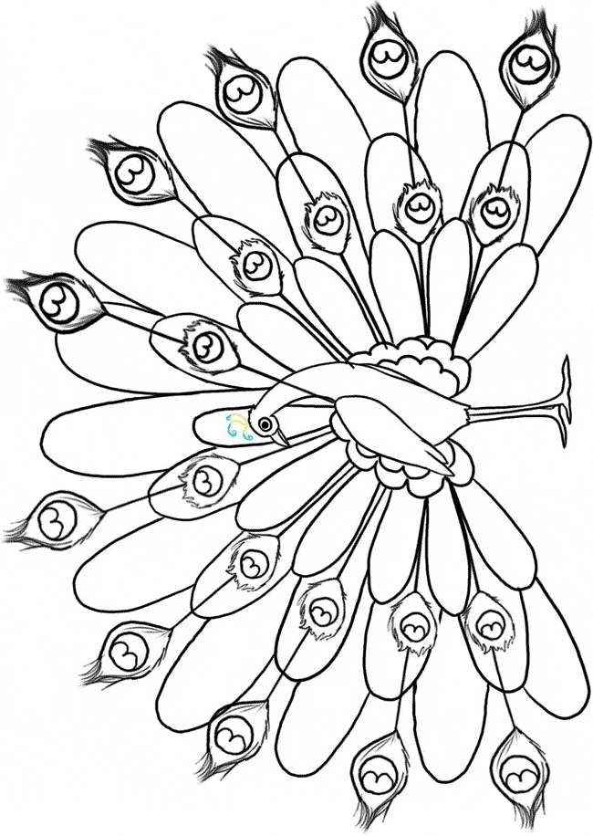 Peacock coloring page