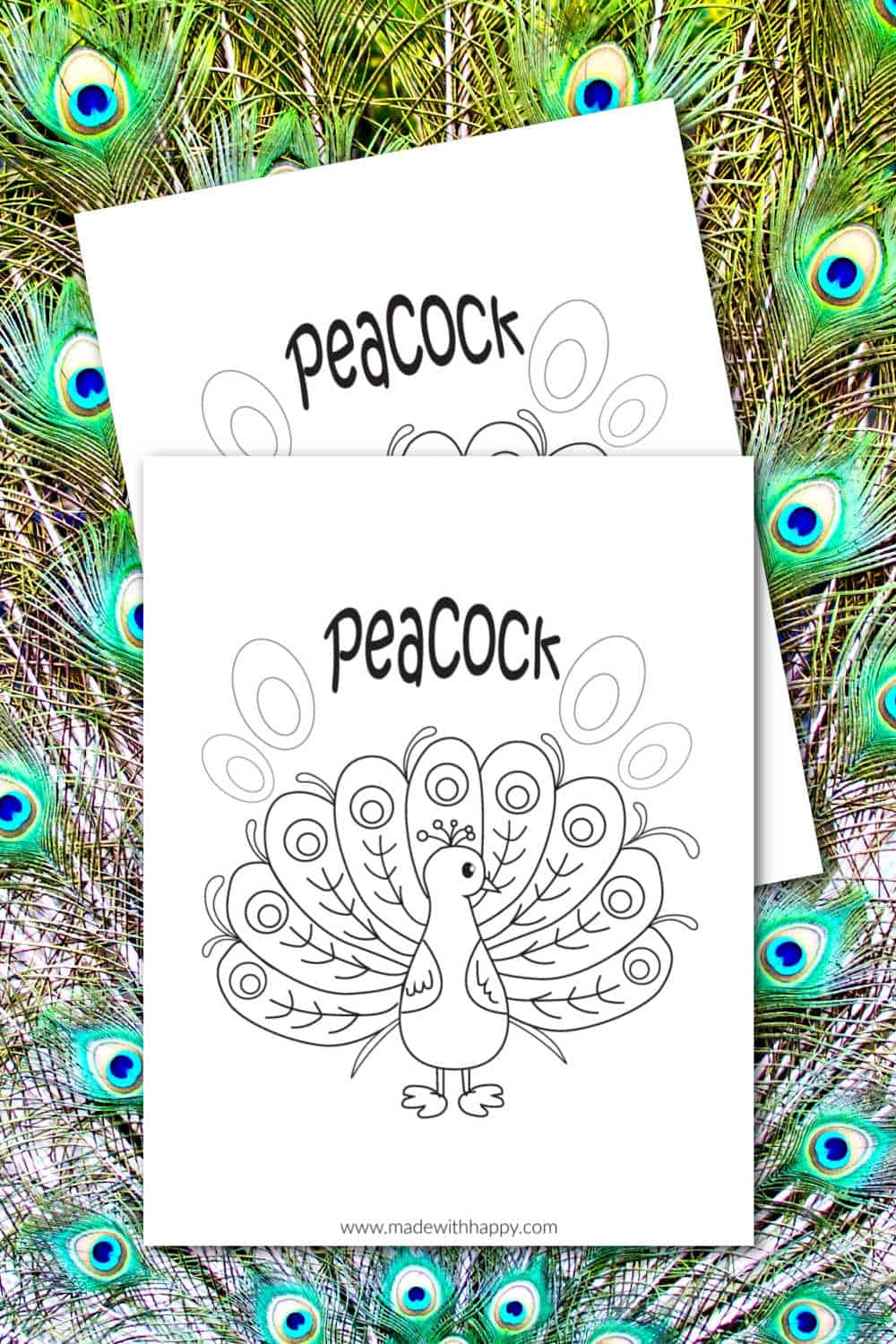 Free printable peacock coloring page