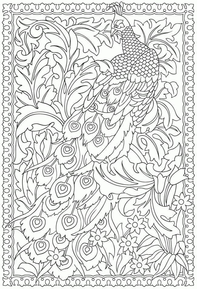 Peacock picture coloring page