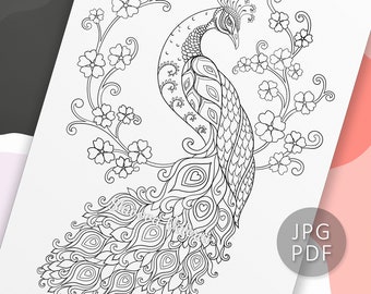 Peacock coloring page instant download pdf download printable coloring page