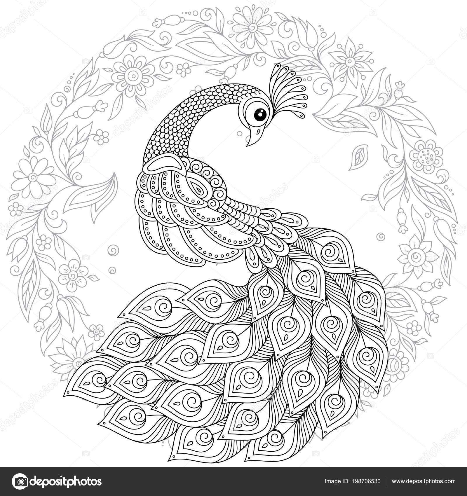 Peacock zentangle style adult antistress coloring page black white hand stock vector by karpenyuk