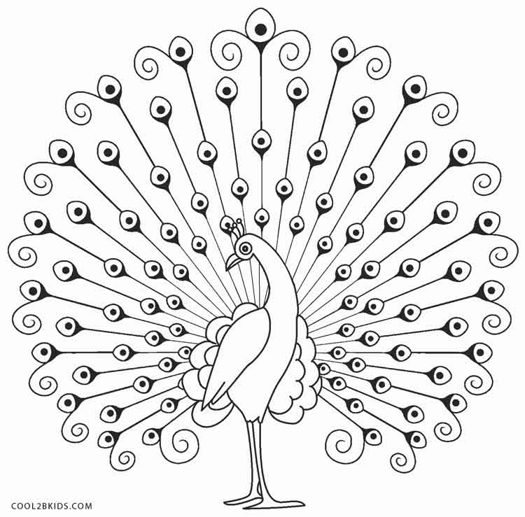 Printable peacock coloring pages for kids