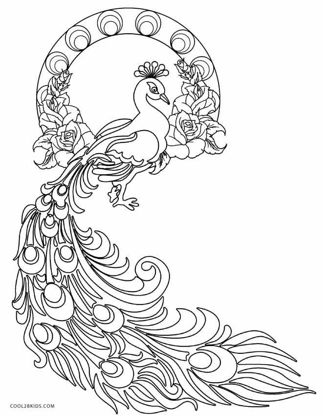 Free printable peacock coloring pages for kids coolbkids peacock coloring pages bird coloring pages animal coloring pages