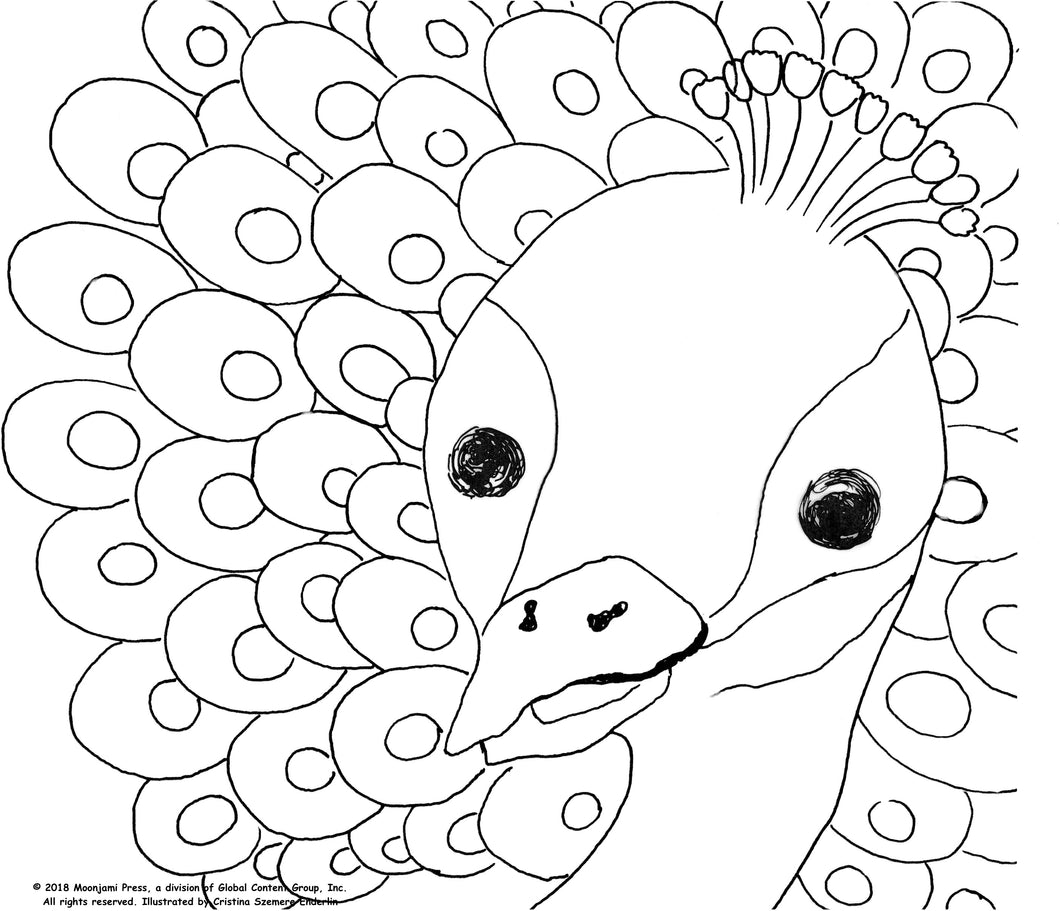 Printable peacock coloring page â moonjami press