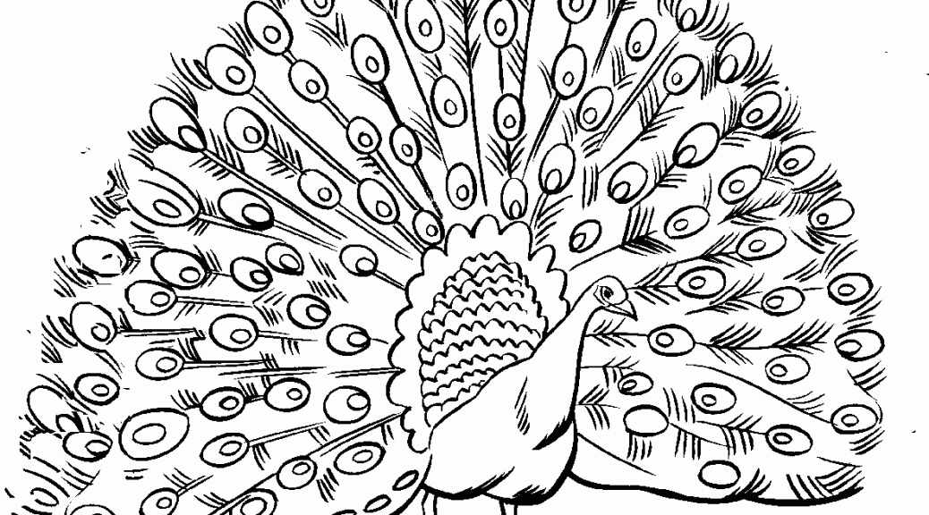 Peacock coloring pages to download and print for free