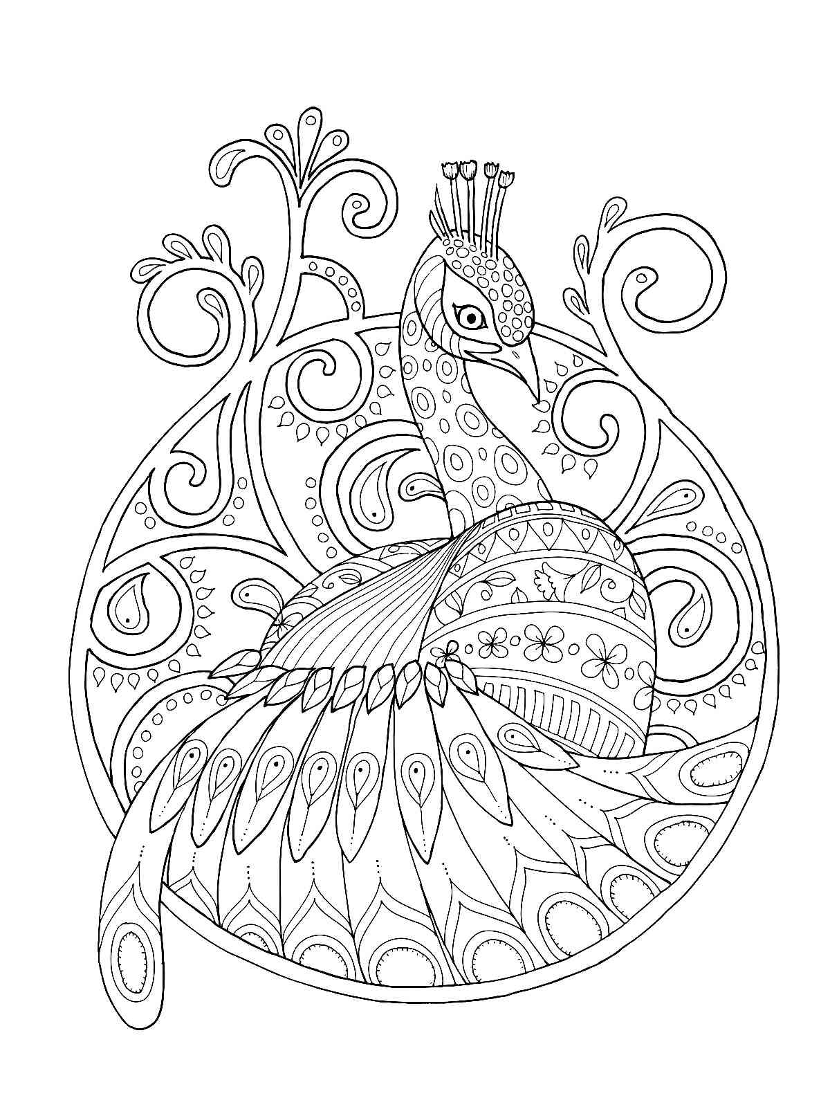 Peacock coloring pages for adults