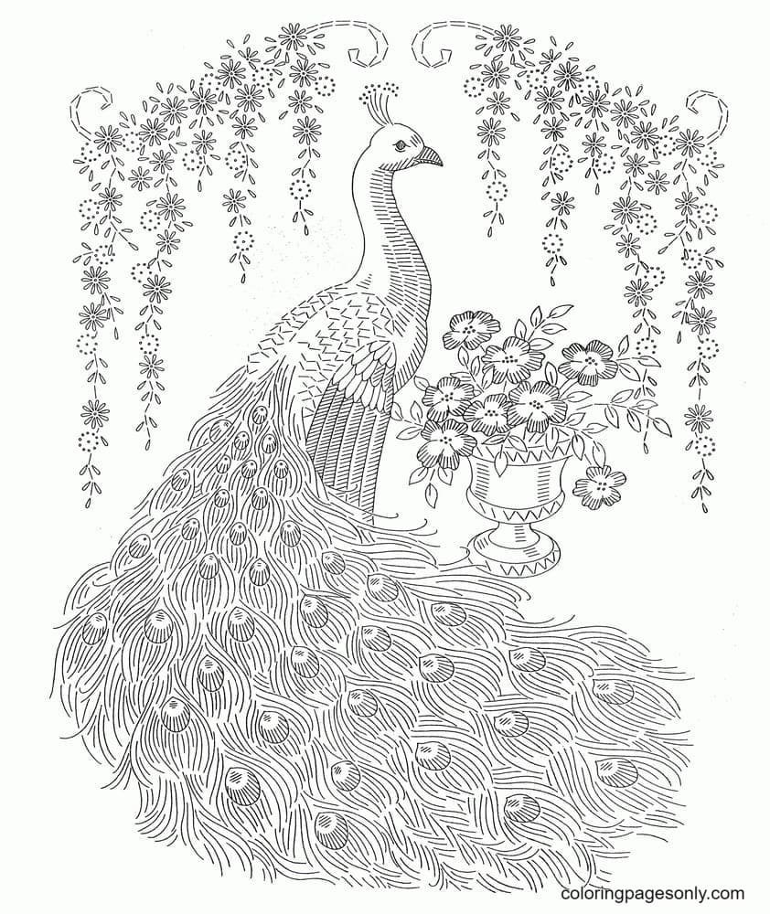 Peacock coloring pages printable for free download