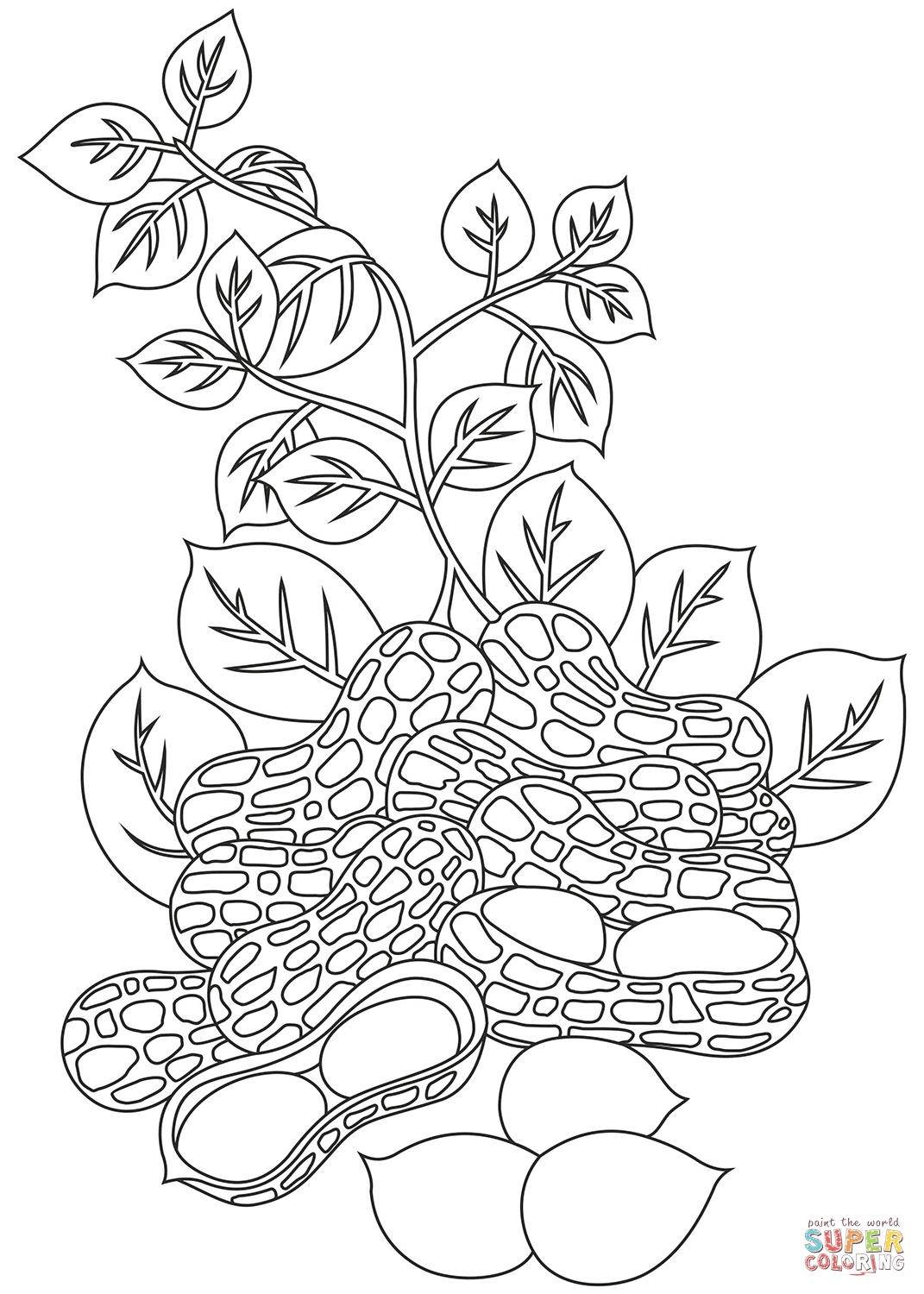 Peanut coloring page free printable coloring pages