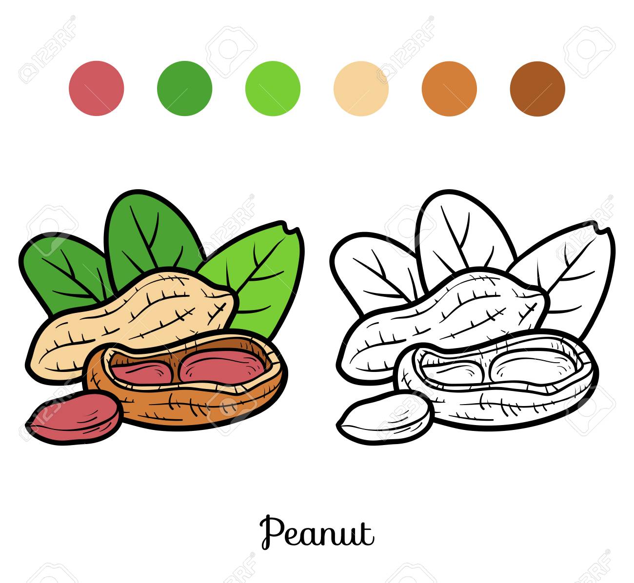 Coloring book for children peanut royalty free svg cliparts vectors and stock illustration image