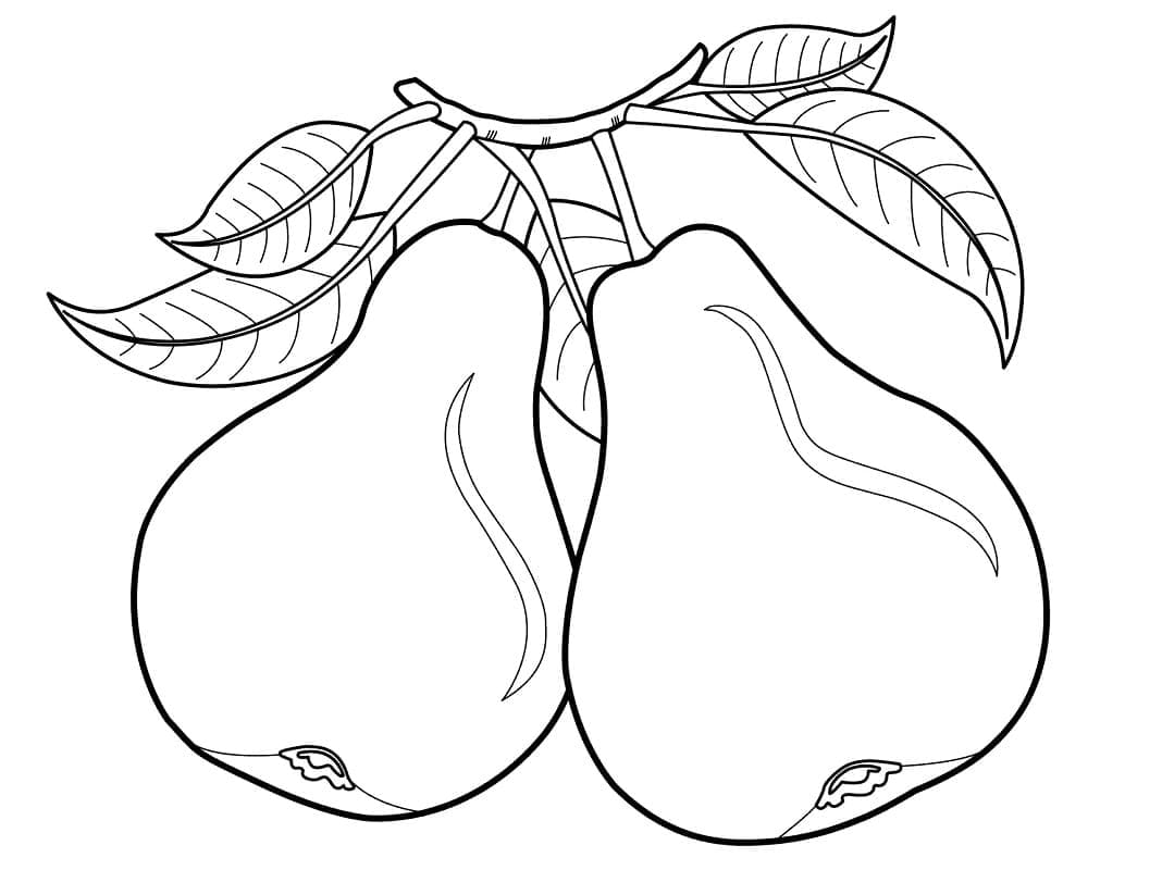 Print pears coloring page