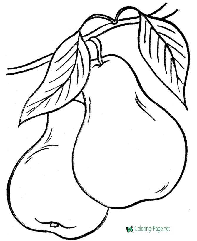 Food coloring pages pears