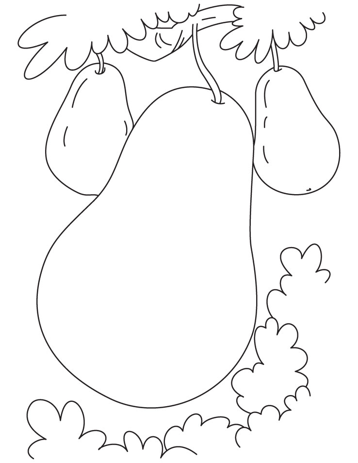 Big and small pear coloring pages download free big and small pear coloring pages for kids best coloring pages