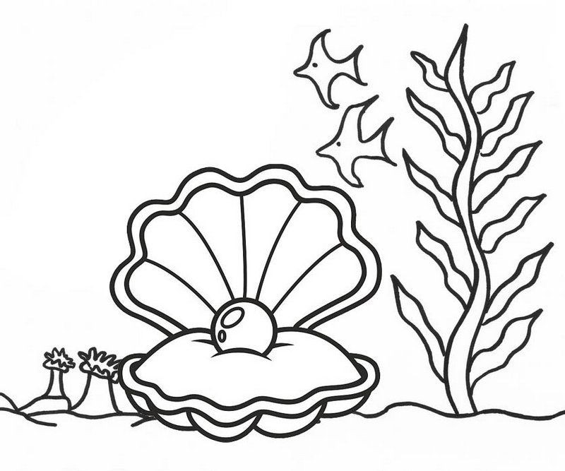 Seven wonderful oyster coloring pages animal coloring pages coloring pages coloring books