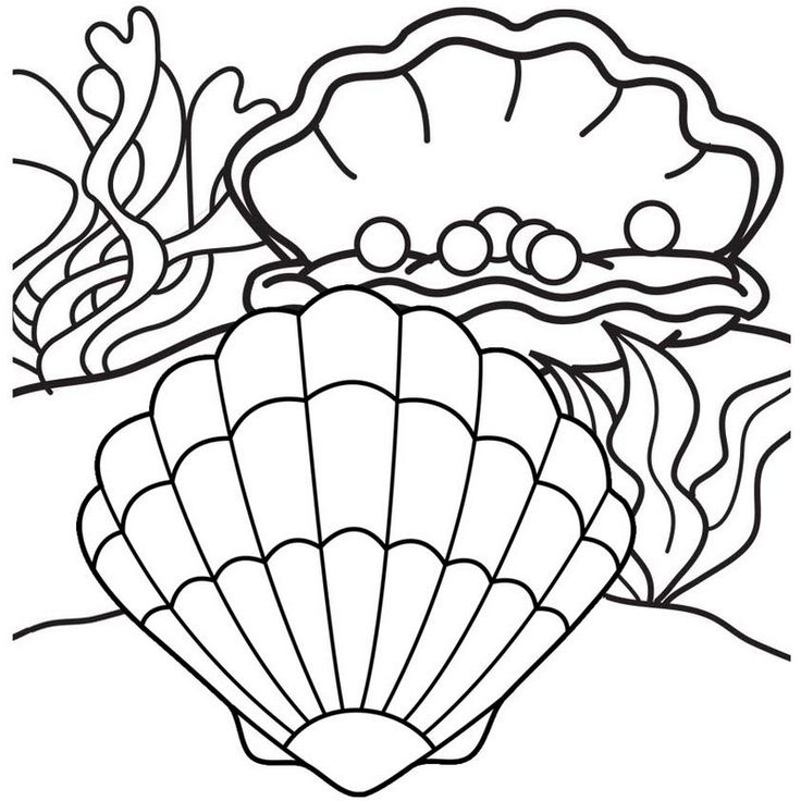 Seven wonderful oyster coloring pages cow coloring pages deer coloring pages coloring pages