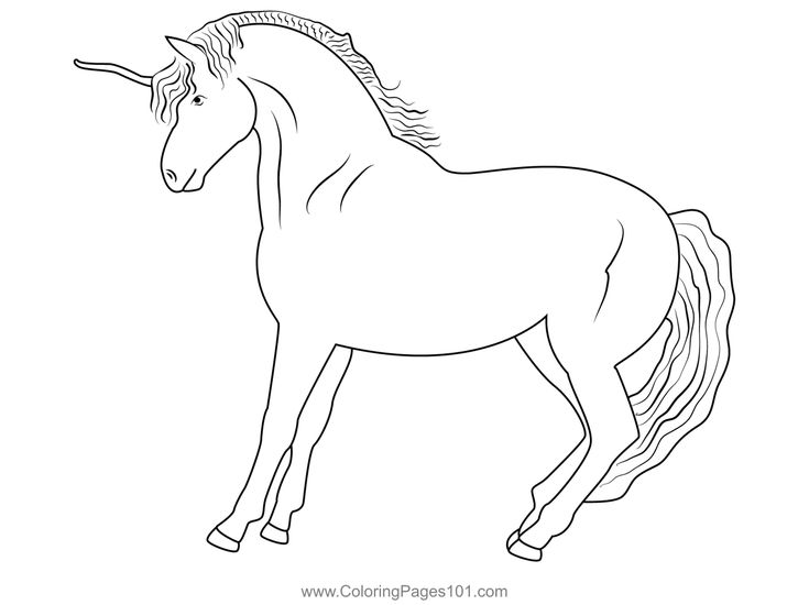 Pearl unicorn coloring page unicorn coloring pages coloring pages unicorn printables