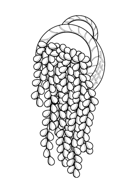 Premium vector pearl of strings home plants indoor coloring pages a for kids and adult