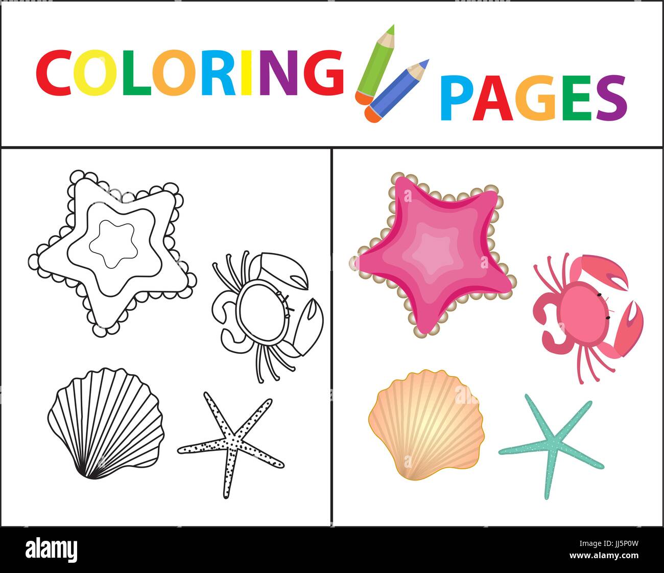 Coloring book page sea set star shell crab pearl sketch outline and color version coloring for kids childrens education vector illustration stock vector image art