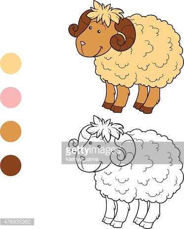 Clipart stock di libro da colorare pecora royalty