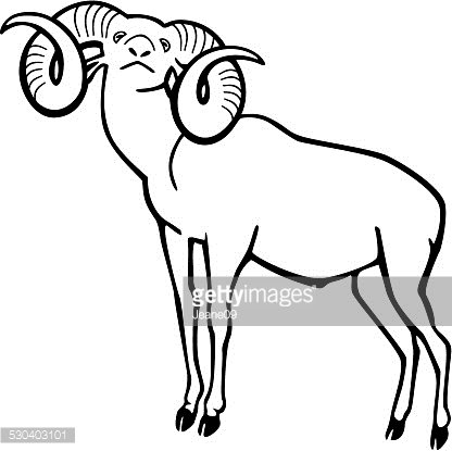 Clipart stock di muflone ram royalty