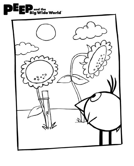 Peep big wide world on x admire the sunflowers with chirp ðdownload coloring pages for your children to color and display with pride httpstcoyarjhem show us your kids drawings of peep chirp