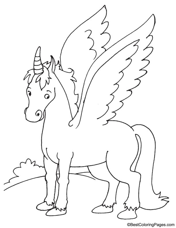 Realistic pegasus coloring page download free realistic pegasus coloring page for kids best coloring pages