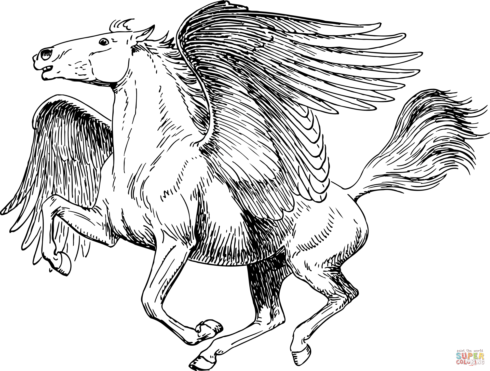 Pegasus coloring page free printable coloring pages