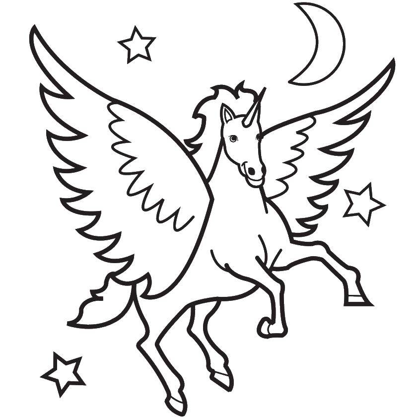 Online coloring pages coloring page the night pegasus coloring download print coloring page