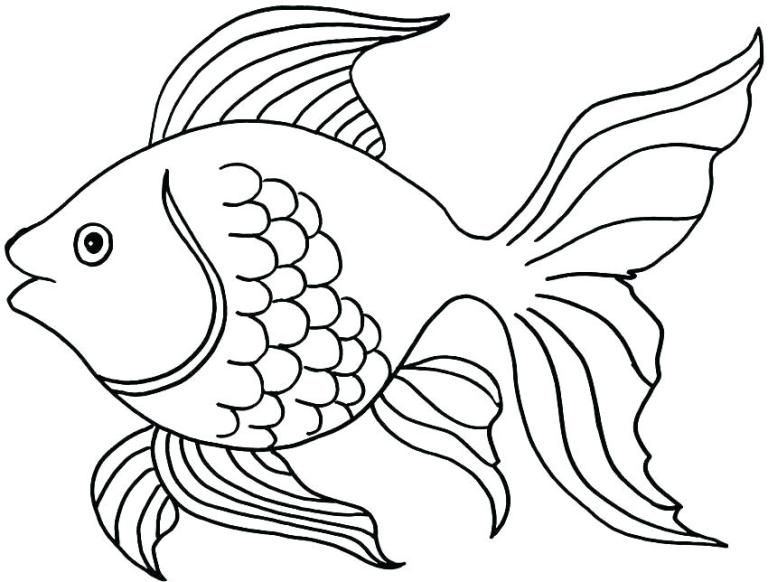 Desenhos de peixe para imprimir e colorir