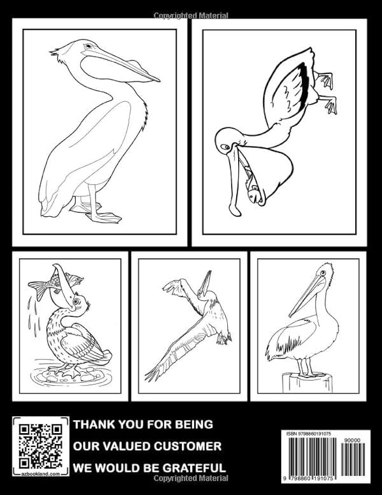 Pelican coloring book for kids by phillips joshua