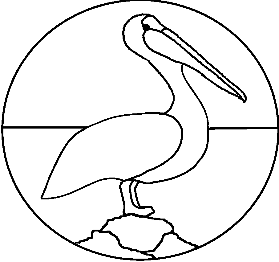 Pelican coloring pages