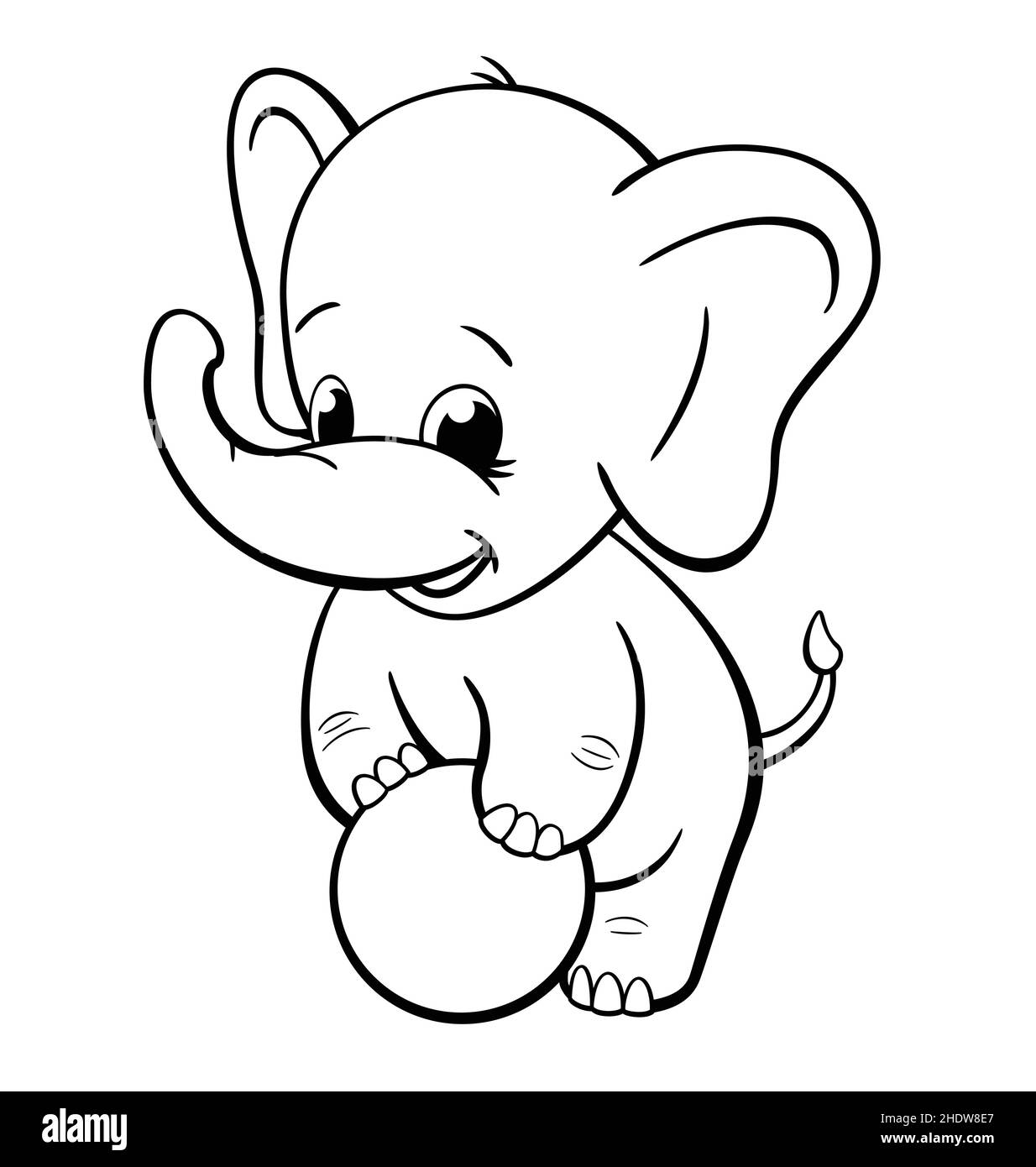 Smiling elephant black and white stock photos images