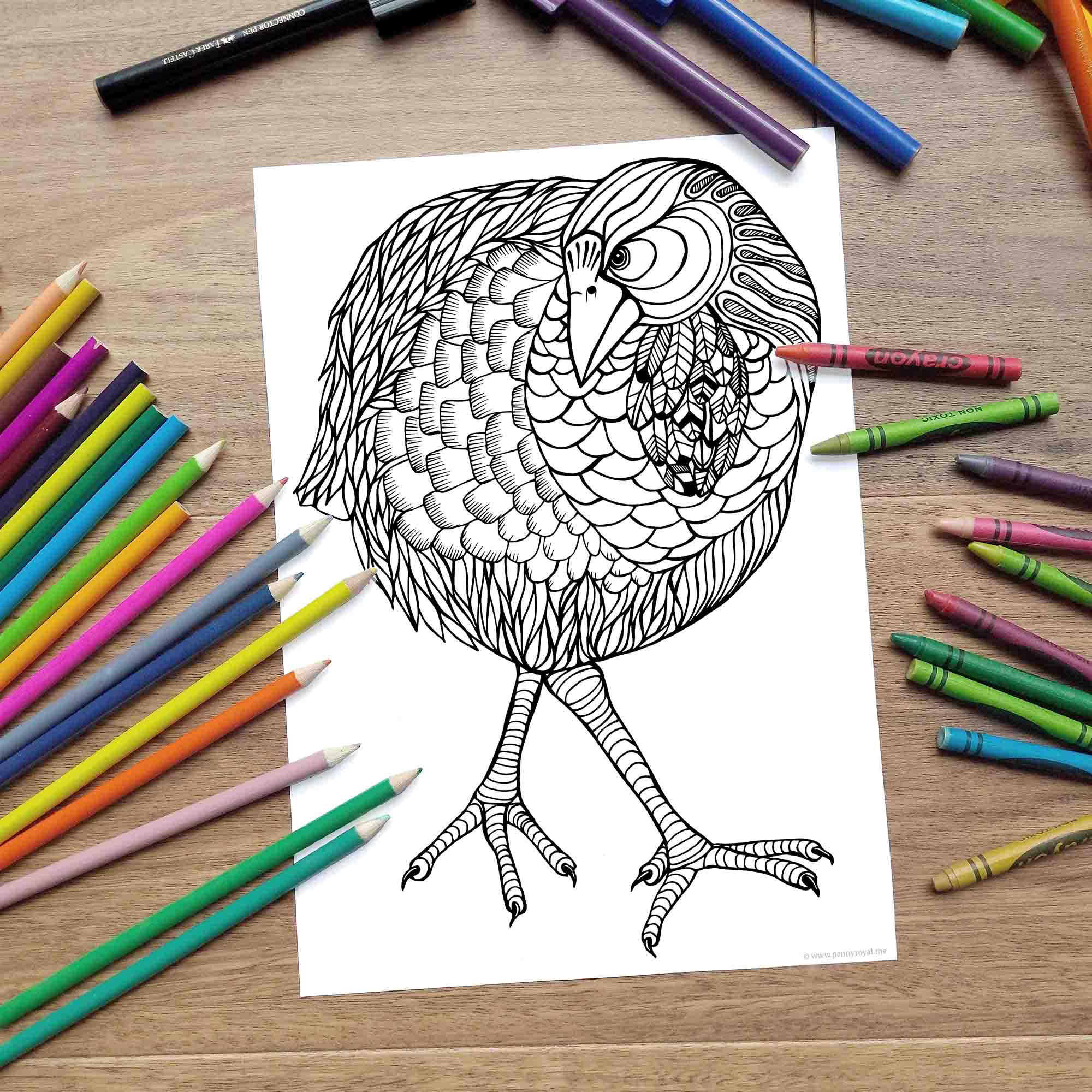 Takahe coloring page â digital download