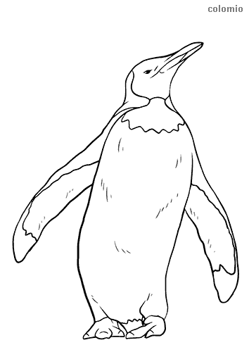 Penguins coloring pages free printable penguin coloring sheets