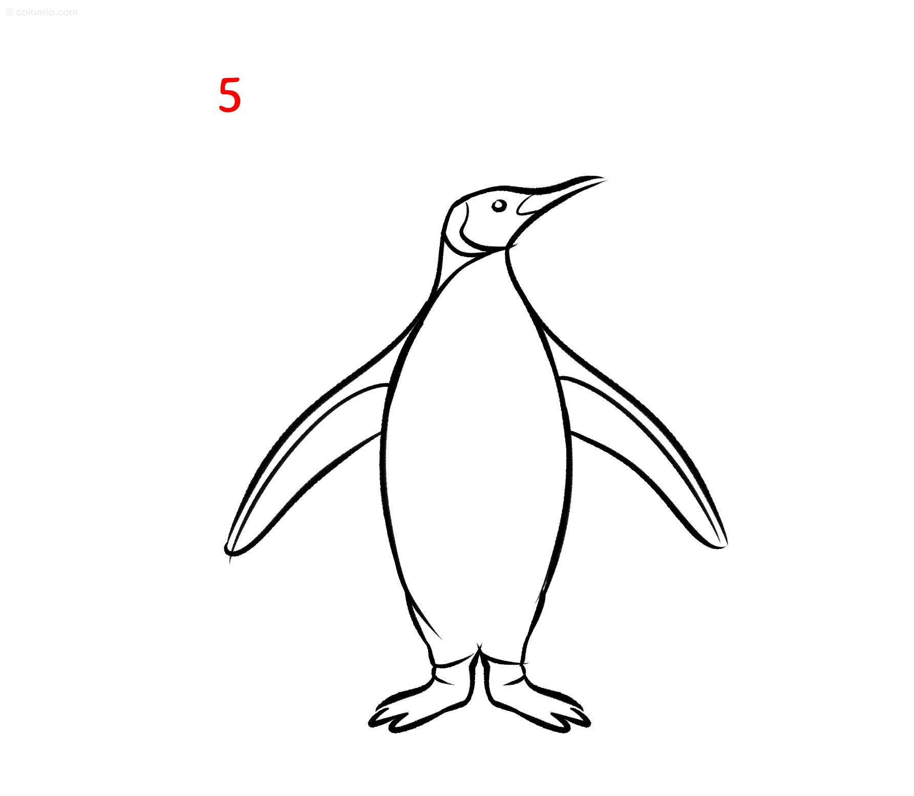 Penguins coloring pages free printable penguin coloring sheets