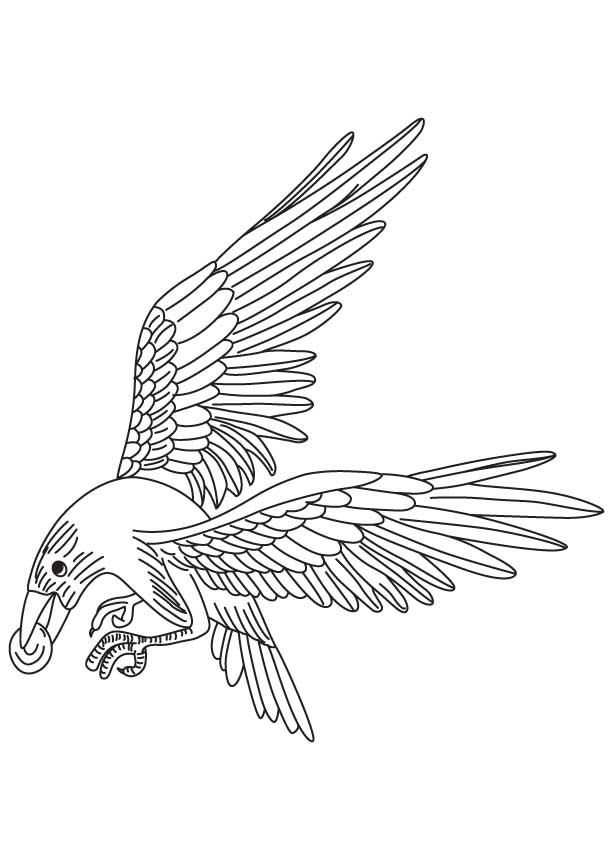 Pebble in the crows beak coloring page download free pebble in the crows beak coloring page for kids best coloring pages